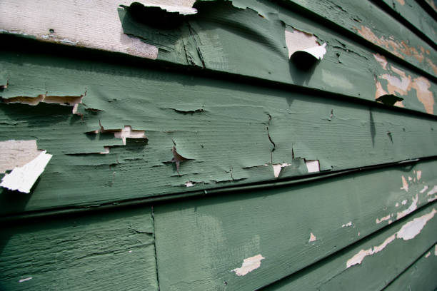 Best Dumpster Rental Services  in Broadmoor, CA